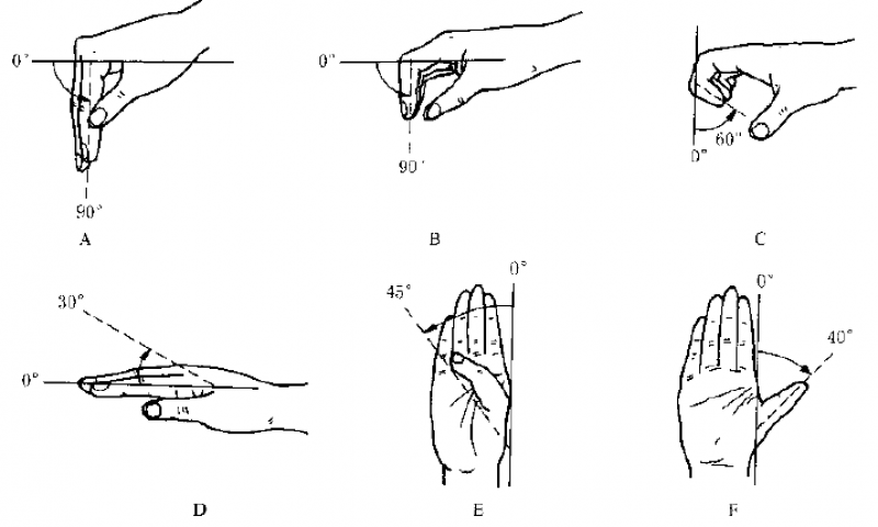 内收 45°外展 40°(4)拇指掌指关节伸直 0°60°《实用骨科学》掌屈