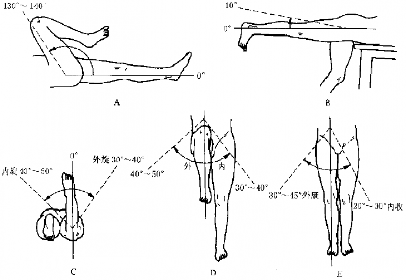 膝关节内收外展图解图片