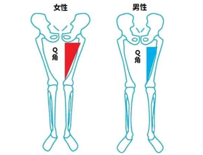 有问必答q角理论及其临床意义